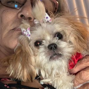 Meet your Posher, Cristina